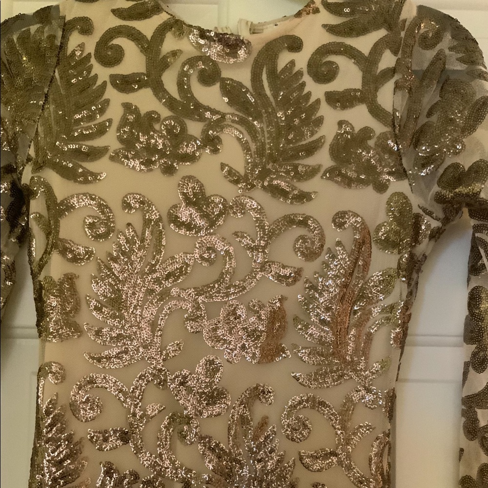 Fancy mermaid long sleeve dress with a small train